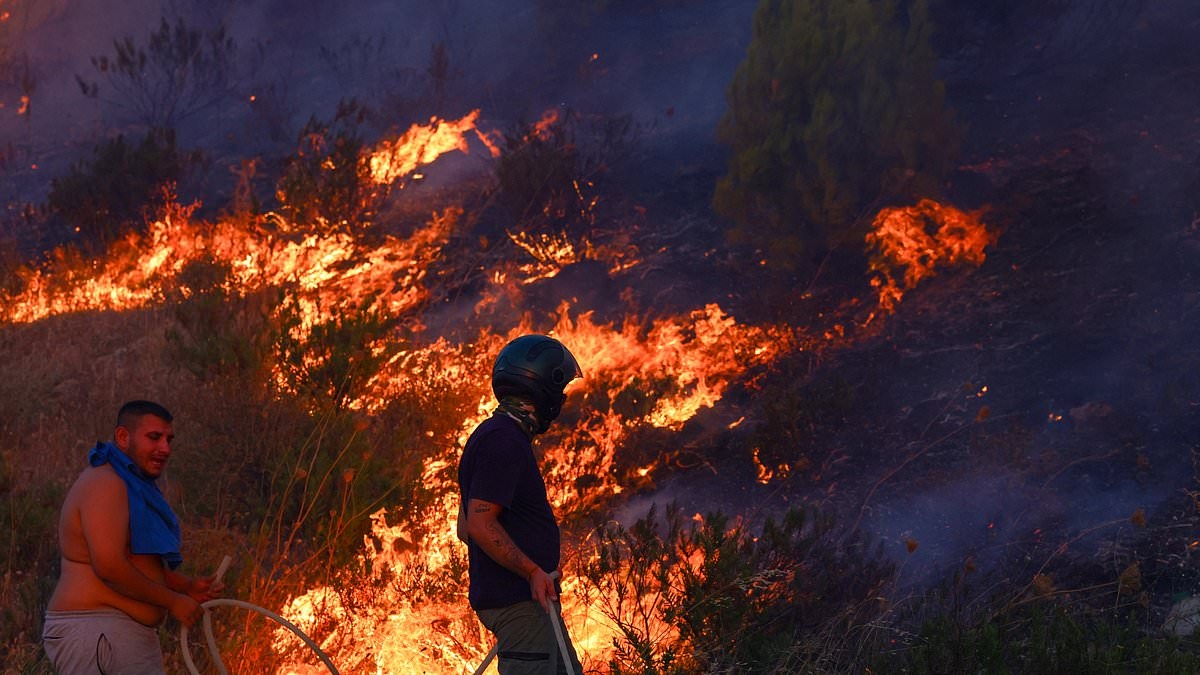 Europe's red alert HELL: Boy, four, dies of heatstroke in Italy as temperatures hit record highs in France and masses are evacuated in the Balkans as wildfires tear through