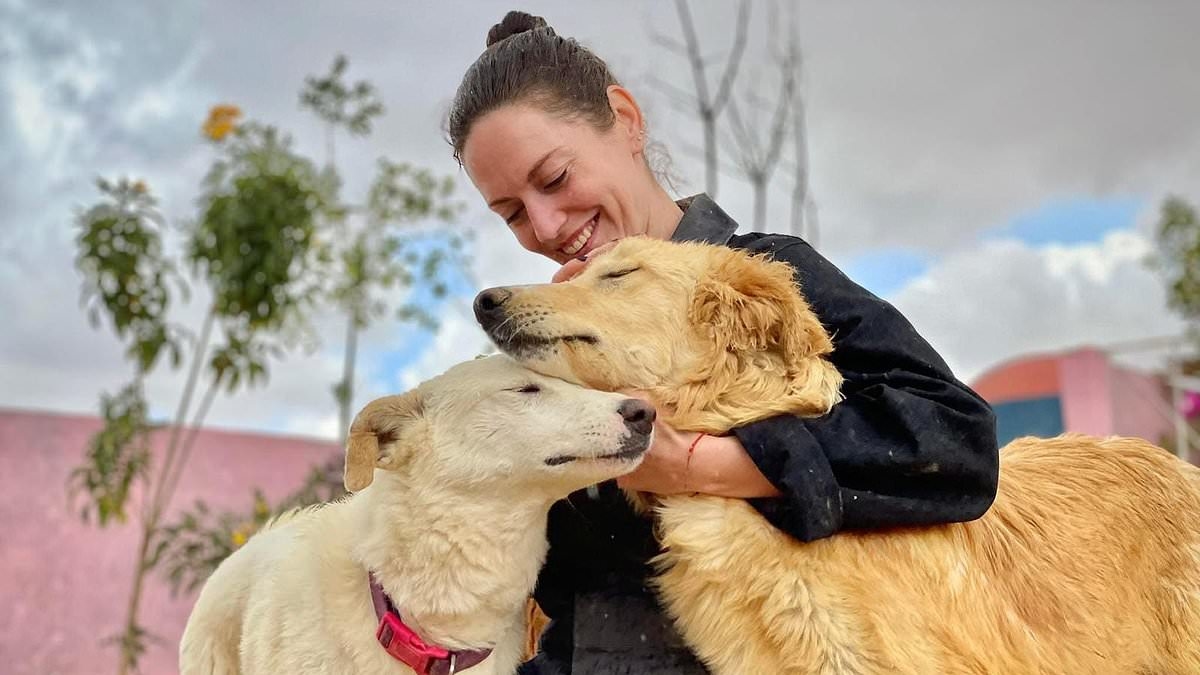 Inside the 'dark side' of tourist destination where a British woman was forced to pay thousands to rescue animals from 'death camp for dogs'