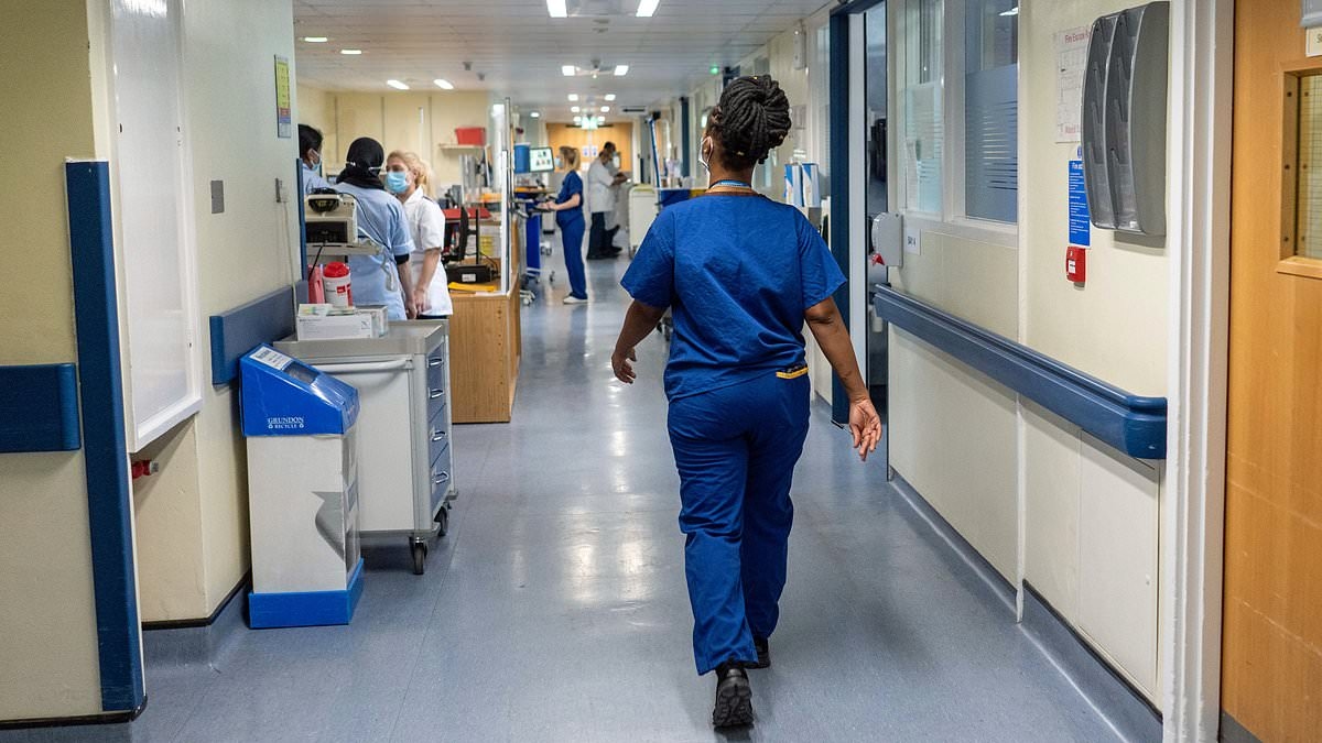 A&E waits fuel 4,000 attacks on NHS staff a year: One worker is attacked every two hours in 'tinder box' hospitals as nurses face violence and gun threats