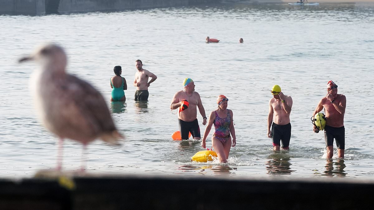 Britain melts in 34C heatwave: Health alerts in force as England suffers water shortages - and experts warn newbuild homes are too hot to live in