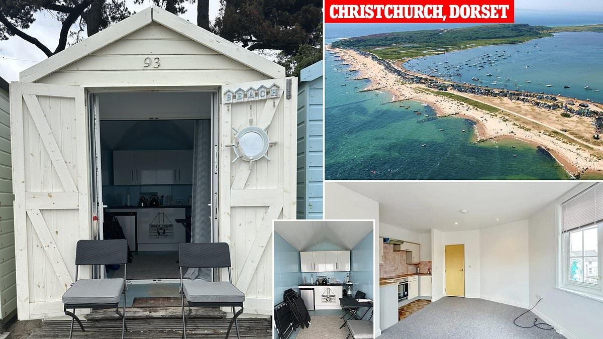 Tiny beach hut in tourist seaside hotspot hits the market for £110,000 - more than a two-bed flat just minutes away