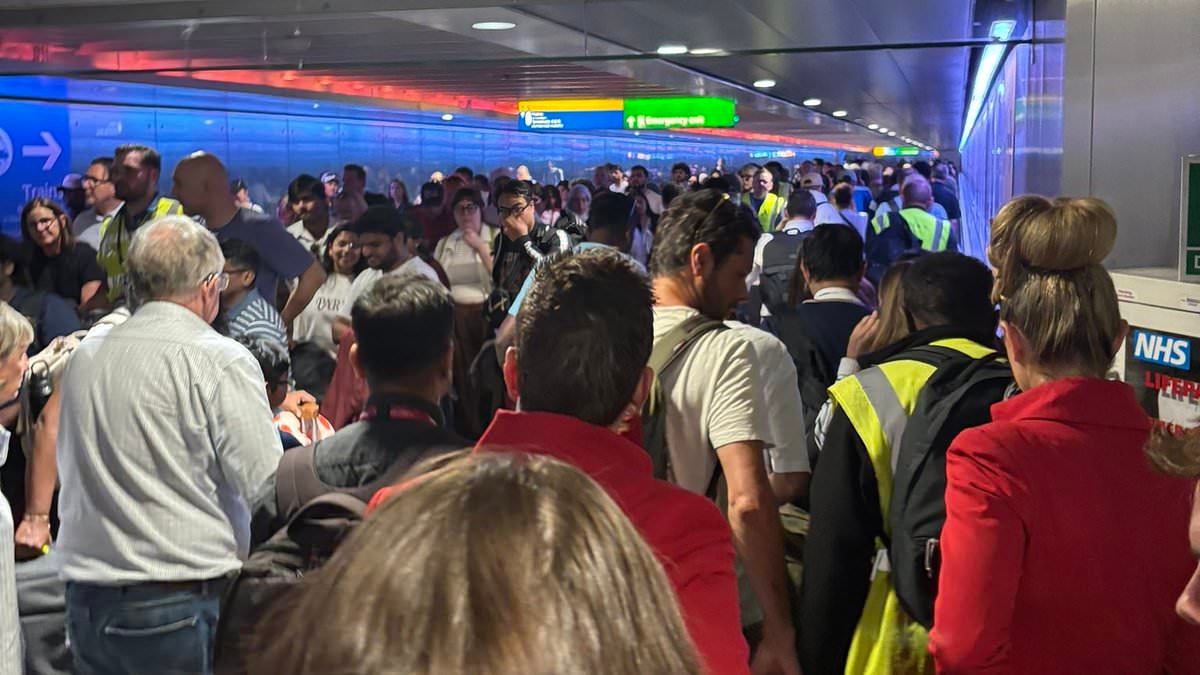 Airlines 'lack confidence' in Heathrow bosses after tunnel shutdown connecting terminals sparked huge travel chaos