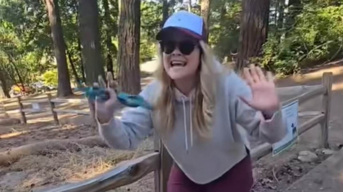Unhinged Portland Karen rages at man for having pure bred dogs