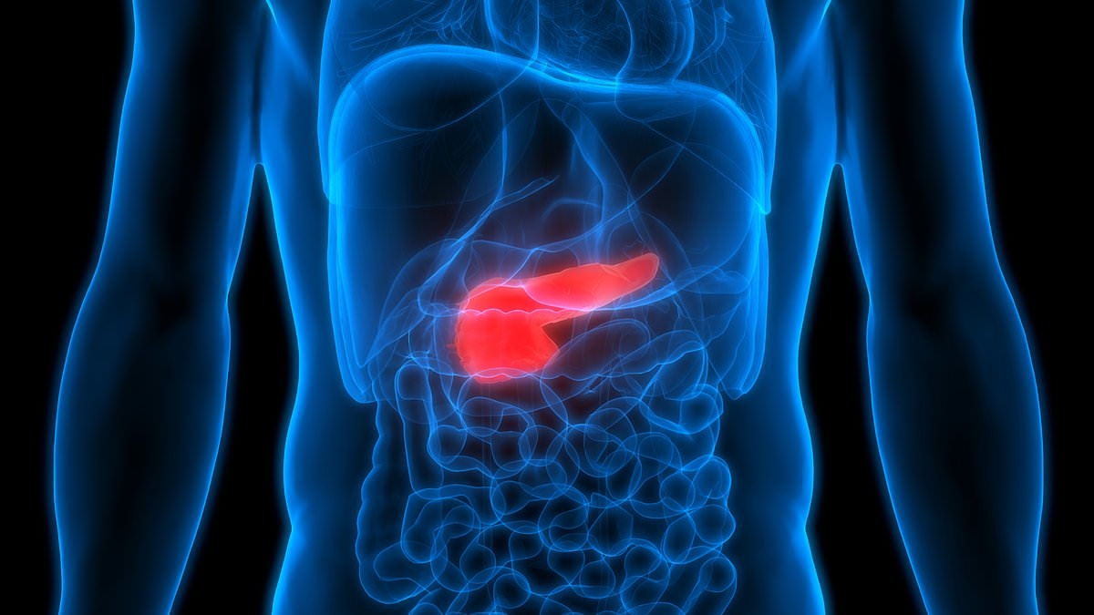 Scientists pinpoint the link between alcohol and pancreatic cancer