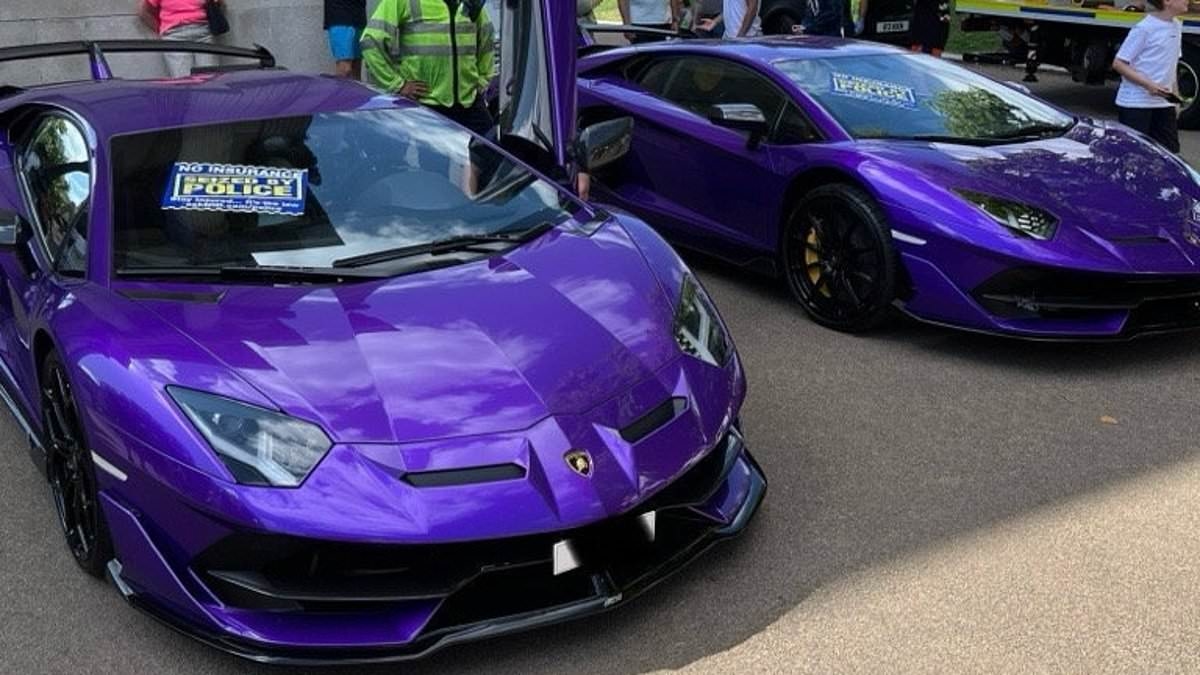 The Summer of Supercars begins: High-powered multi-million-pound fleet of sports cars owned by Saudi billionaires descend on London - as police go on red alert for law-breaking