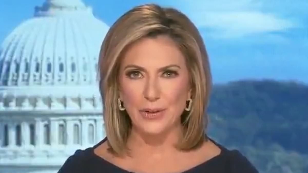 ABC News anchor reveals she was attacked in crime-ridden DC after Trump sent in national guard to clean capital up