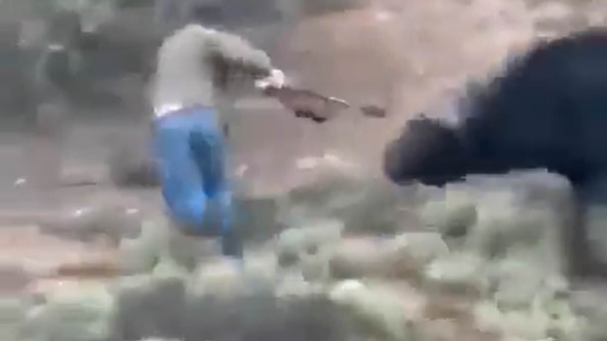 When animals fight back: The hunters killed by the very beasts they were hoping to slay and turn into trophies