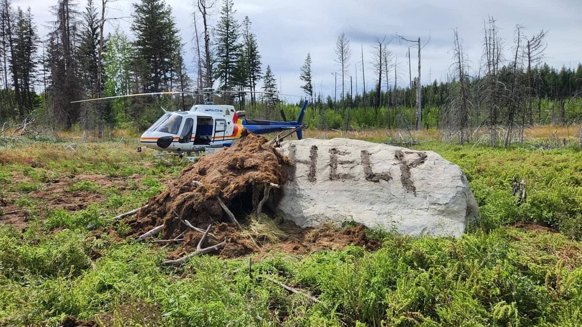 Driver lost in wilderness for nine days had to take disgusting step to survive