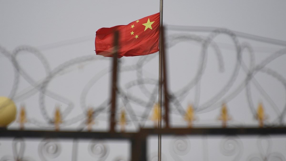 Fresh fears Britain is a 'dumping ground for slave-made goods' as new air cargo routes open between China's Xinjiang region and UK