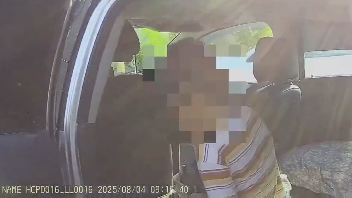 Moment sweat-drenched child is rescued from sweltering Utah car while mother was taking driving test