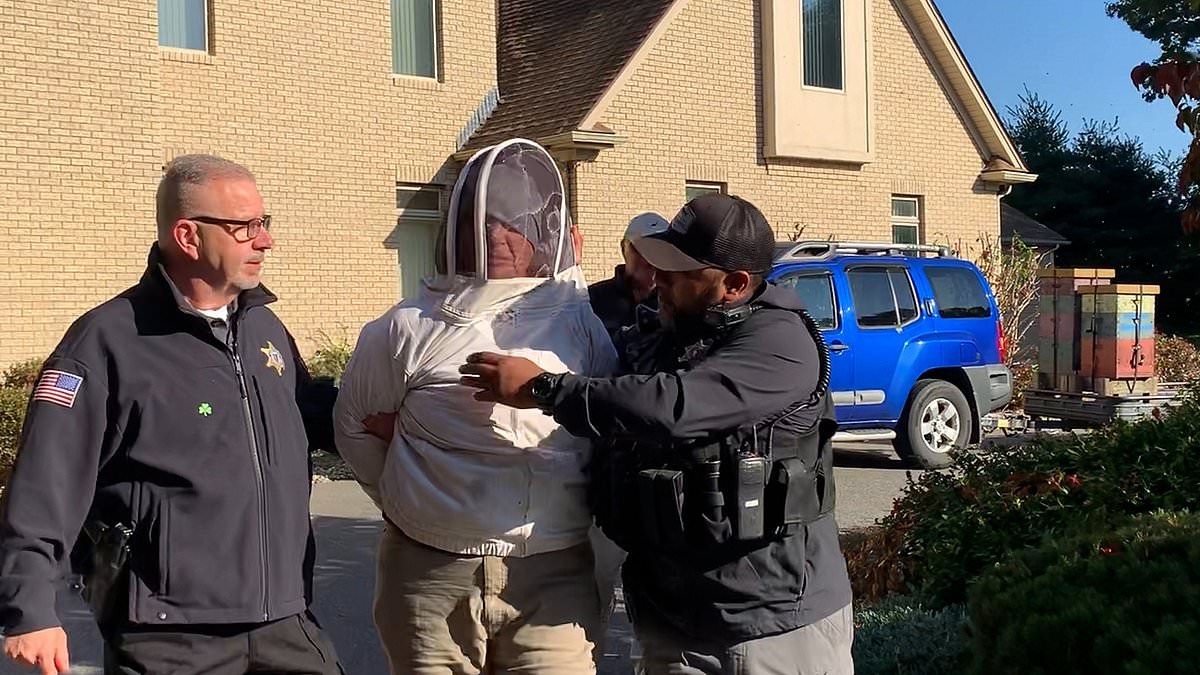 Fugitive arrested three years after she 'angered huge swarm of bees then set them on cops to try and stop an eviction'