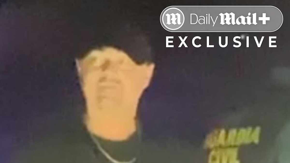 WATCH: Humiliating moment Leonardo DiCaprio is stopped and searched by police who have no idea who he is
