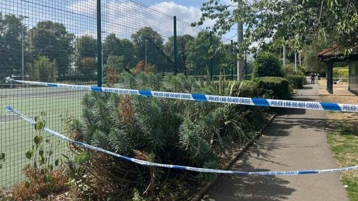 Boy, 15, is charged with rape after 'teenager attacked near tennis courts'