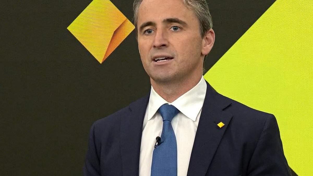 Australia's biggest bank reveals why rate cuts WON'T make life easier