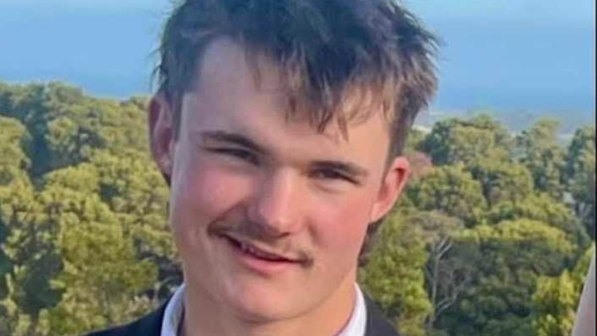 Inside the civil war that's ripped apart a picturesque coastal town over accused mass wombat killer from a VERY wealthy family