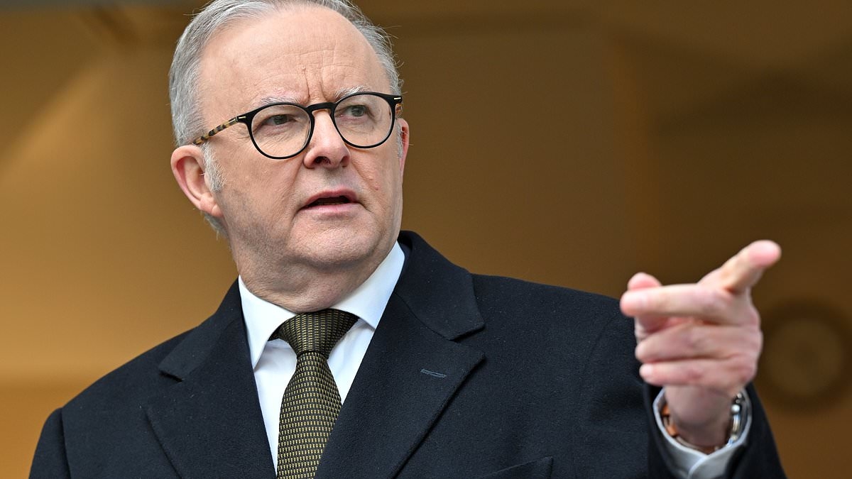 Hamas praises Anthony Albanese's 'courage' for recognising Palestinian statehood - as terror group claims Labor's landmark move vindicates its attack on Israel