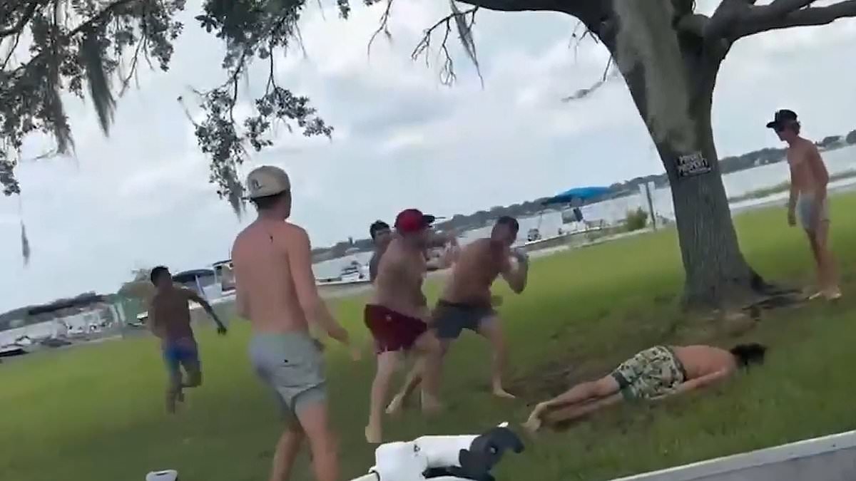 Wild brawl breaks out at Florida lake in front of horrified families and children