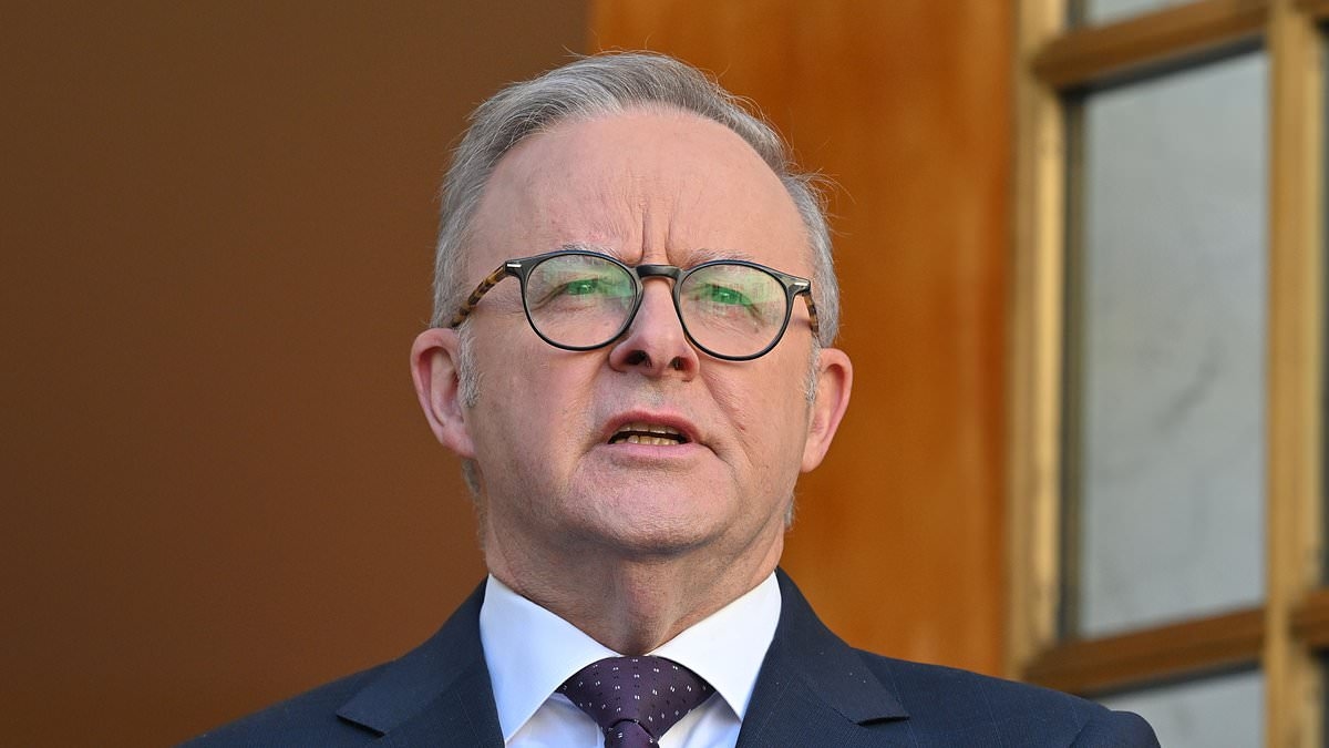 Is Australia's worst-case housing scenario about to hit? Grim warning issued - despite Albanese's optimism