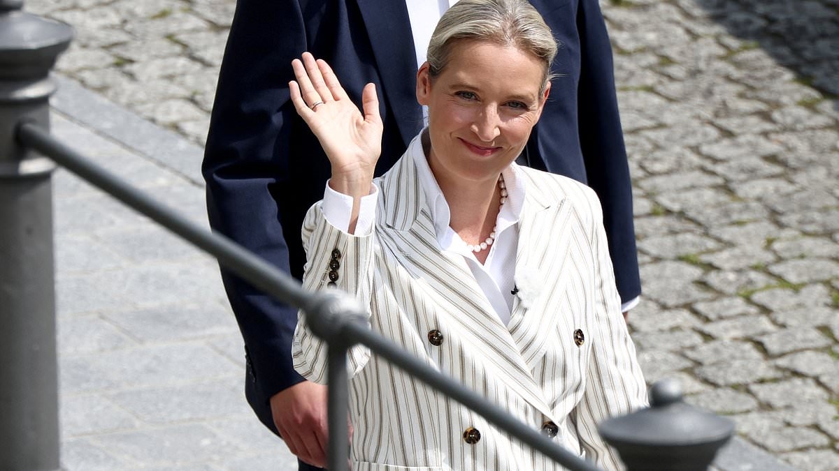 Germany's anti-migrant AfD is now the most popular party in the country