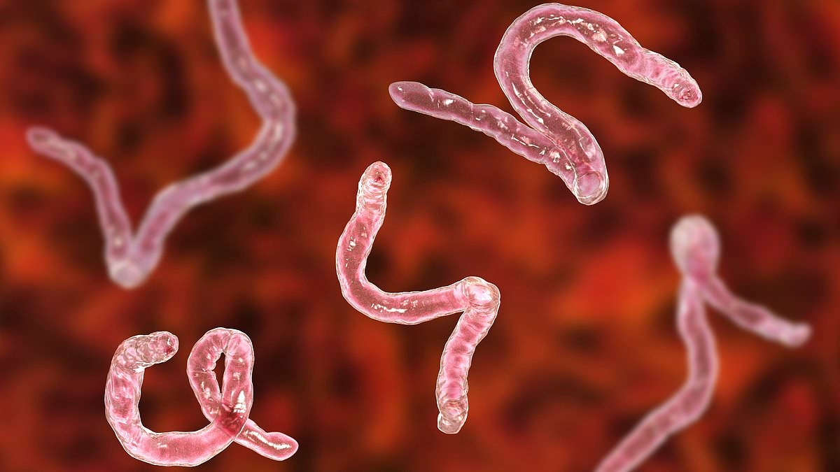 Scientists discover how terrifying cancer-causing parasitic worm can penetrate your body... without you feeling a thing