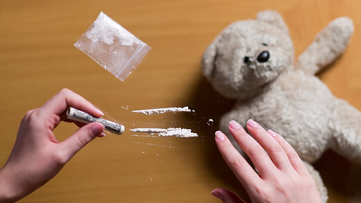 Cocaine shame of the school-gate mums: I thought I was unshockable says ANNA MELTON... then I watched them pull out their 'treats' in the most immoral place imaginable