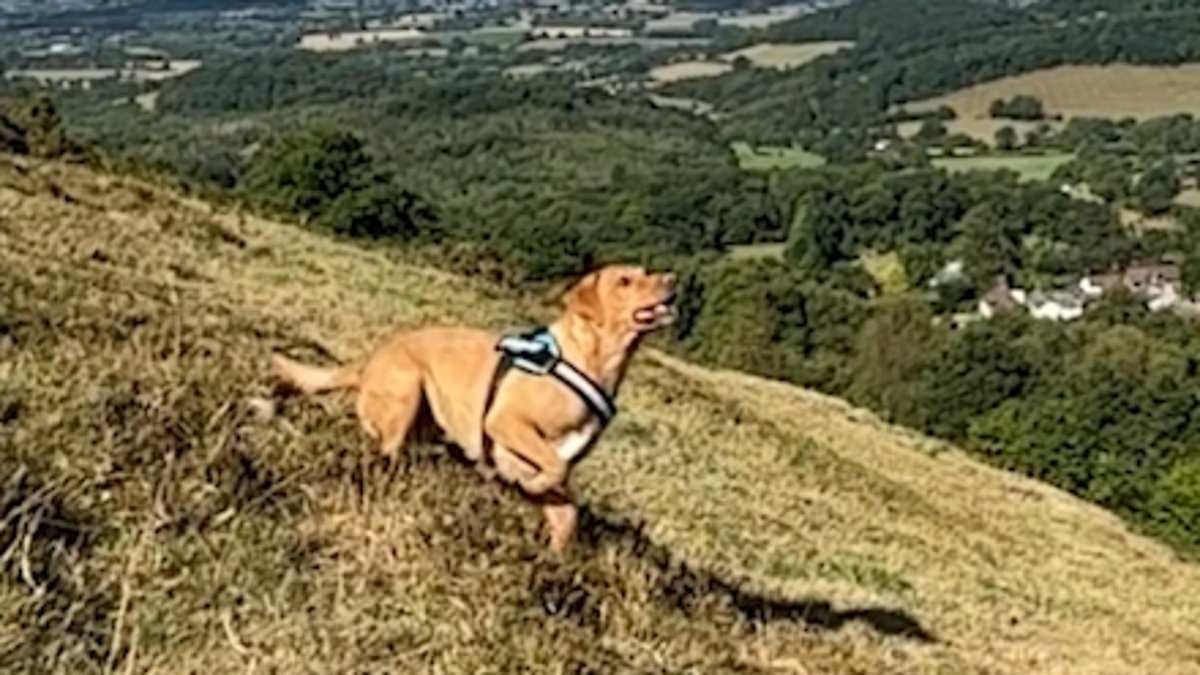 Moment dog walker playing fetch captured UFO speeding through the sky above the Malvern Hills