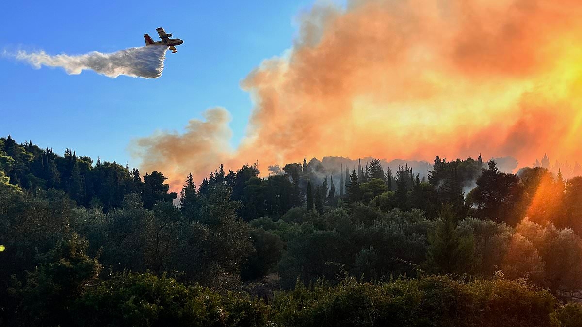 Thousands battle Greek wildfires as flames descend on third-largest city and tourists are evacuated