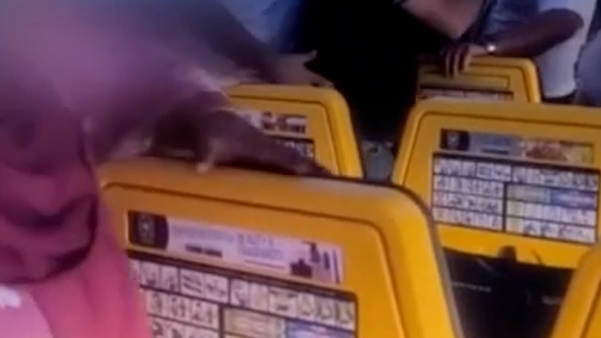 Footage shows chaos on board UK Ryanair flight as 'brawl sparked by crying baby sees police called and passengers held on the plane for an hour after landing'