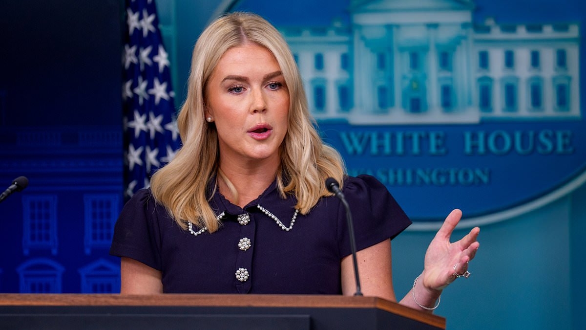 Karoline Leavitt forced to clarify glaring Trump gaffe as White House nails down final details of Putin summit
