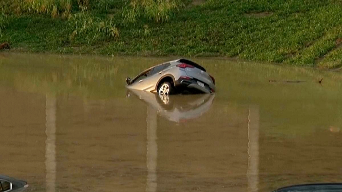 Three people, including a child, are crushed to death by falling tree as catastrophic flooding wrecks Tennessee
