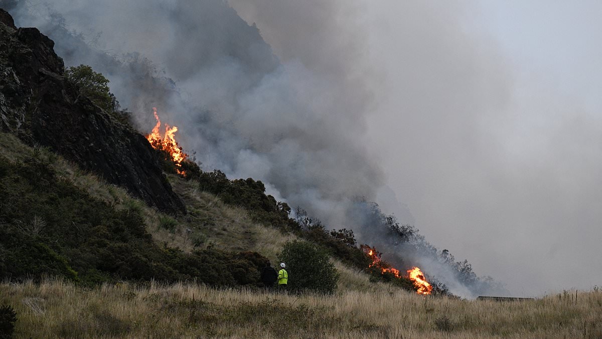 Labour's obsession with the religion of 'rewilding' threatens lives, livelihoods - and deadly moorland blazes