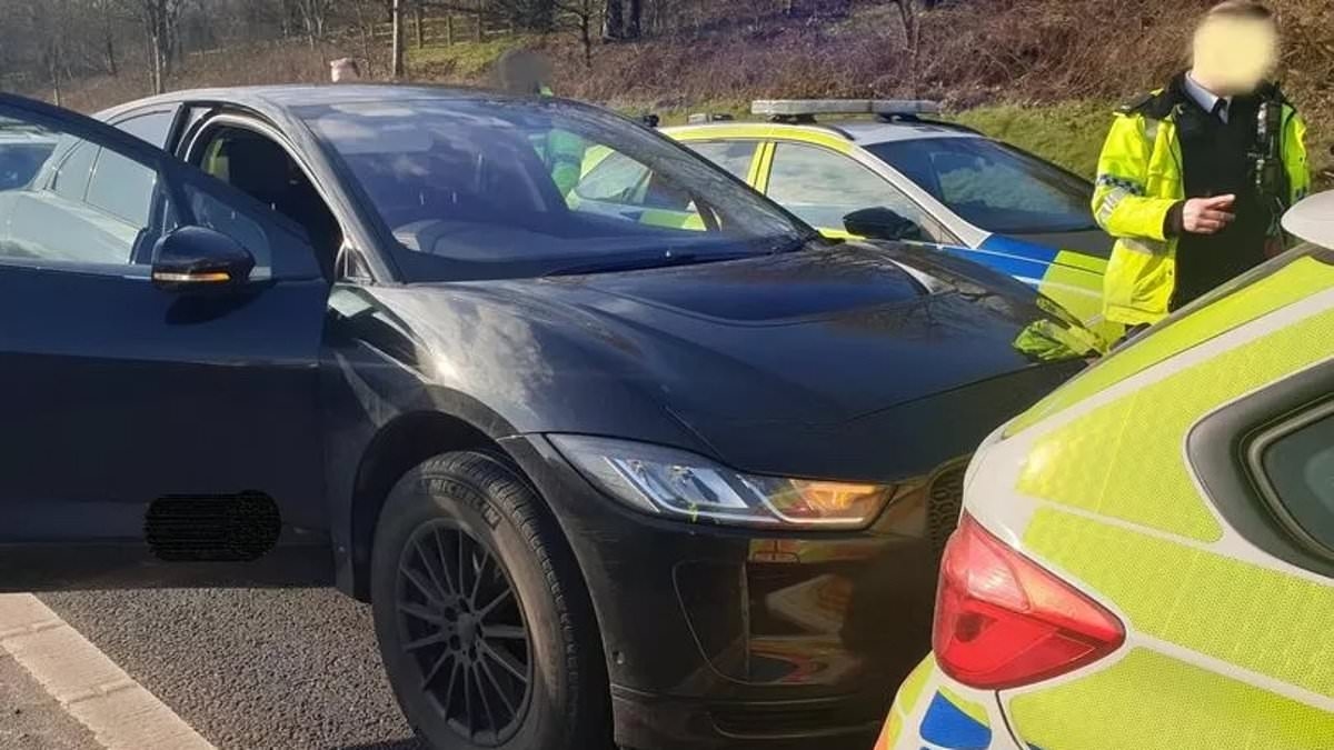 Driver who claimed his electric Jaguar I-Pace accelerated 'on its own' on the motorway appears in court accused of fraud