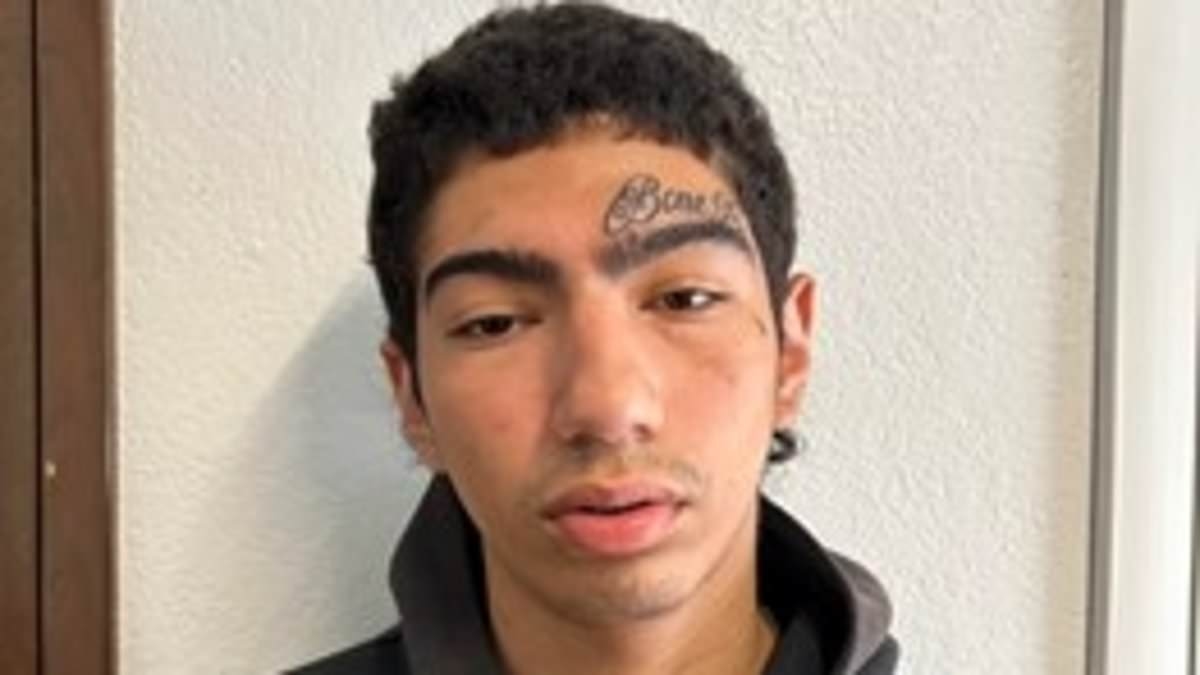 Sly robbery suspect, 20, escapes police custody while being marched through Seattle airport