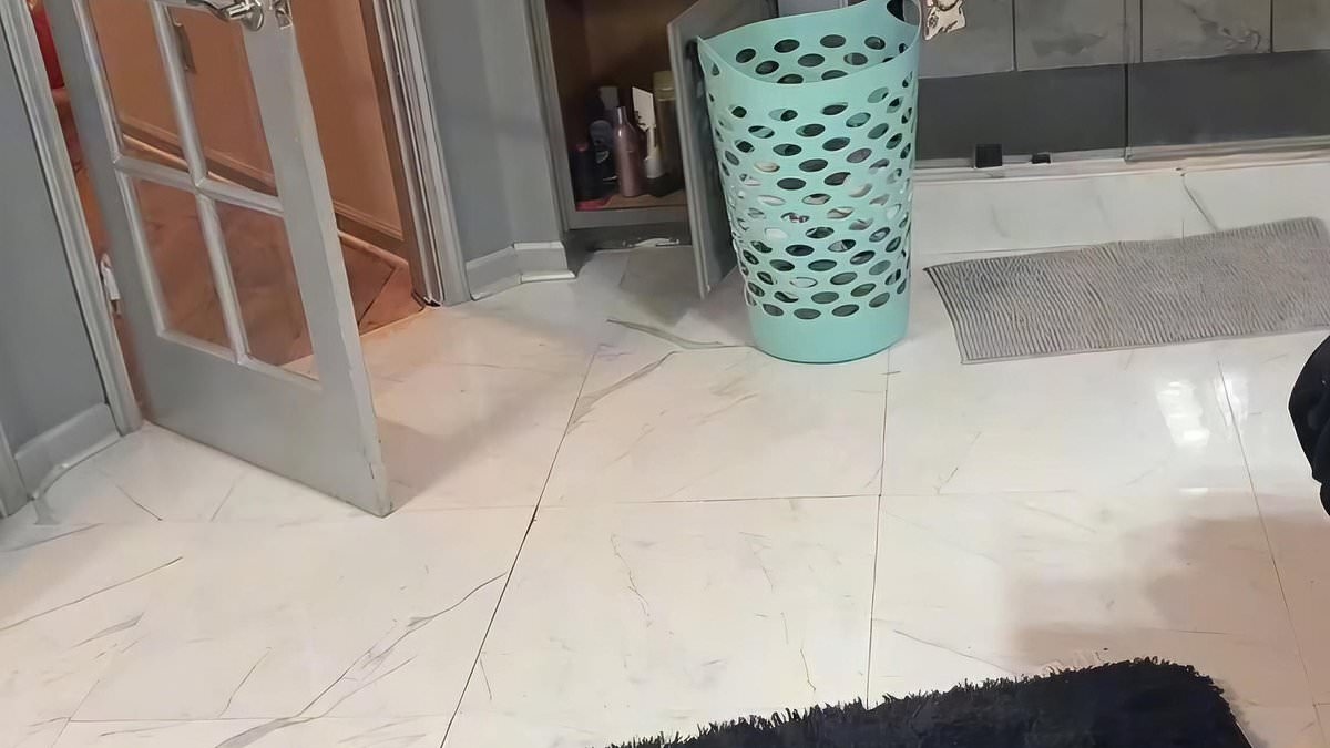 It looks like an average boring bathroom but can you spot the pet dog hiding in plain sight in 30 seconds?