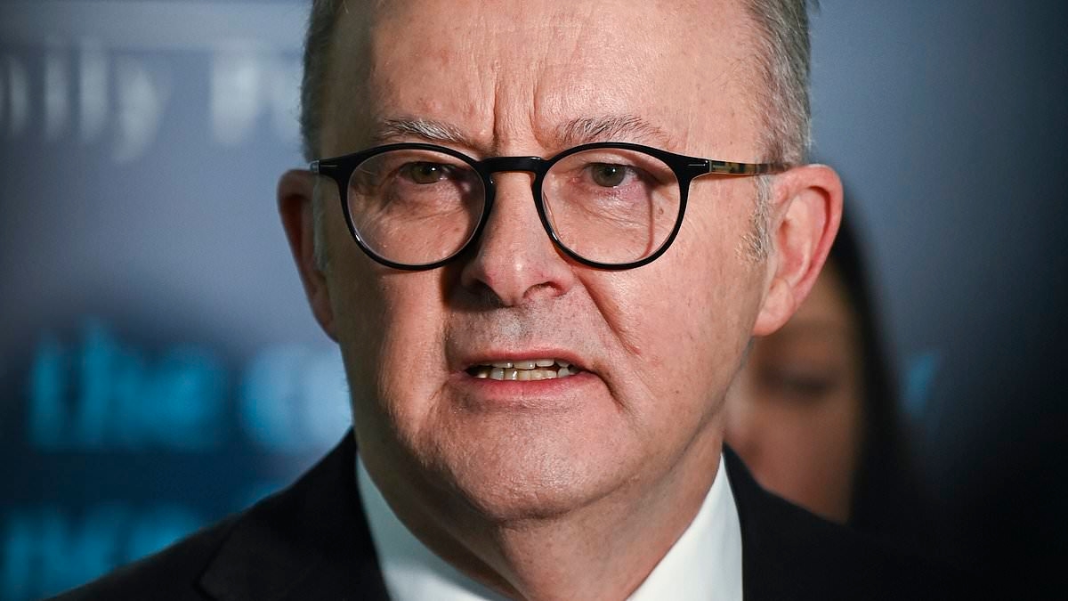 Anthony Albanese's extraordinary excuse for being endorsed by terrorists - as he makes an astonishing claim about the Hamas leader who praised him