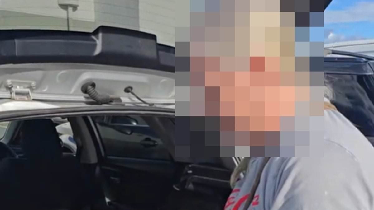 Outraged driver divides opinion after confronting 'pensioner' while she is packing groceries into her car after shock act 'shook' his 4WD