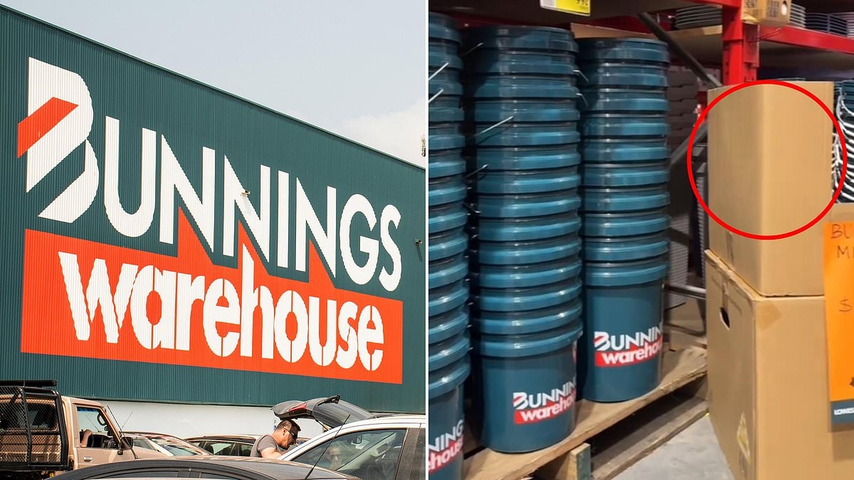The unexpected $1 item from Bunnings that's flying off shelves: 'I need it in my life'