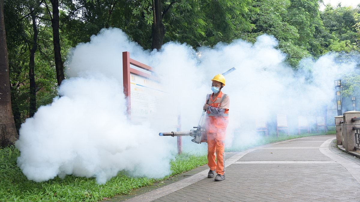 Cases of organ-destroying tropical virus being diagnosed in Britons have TRIPLED-are YOU at risk of catching chikungunya?