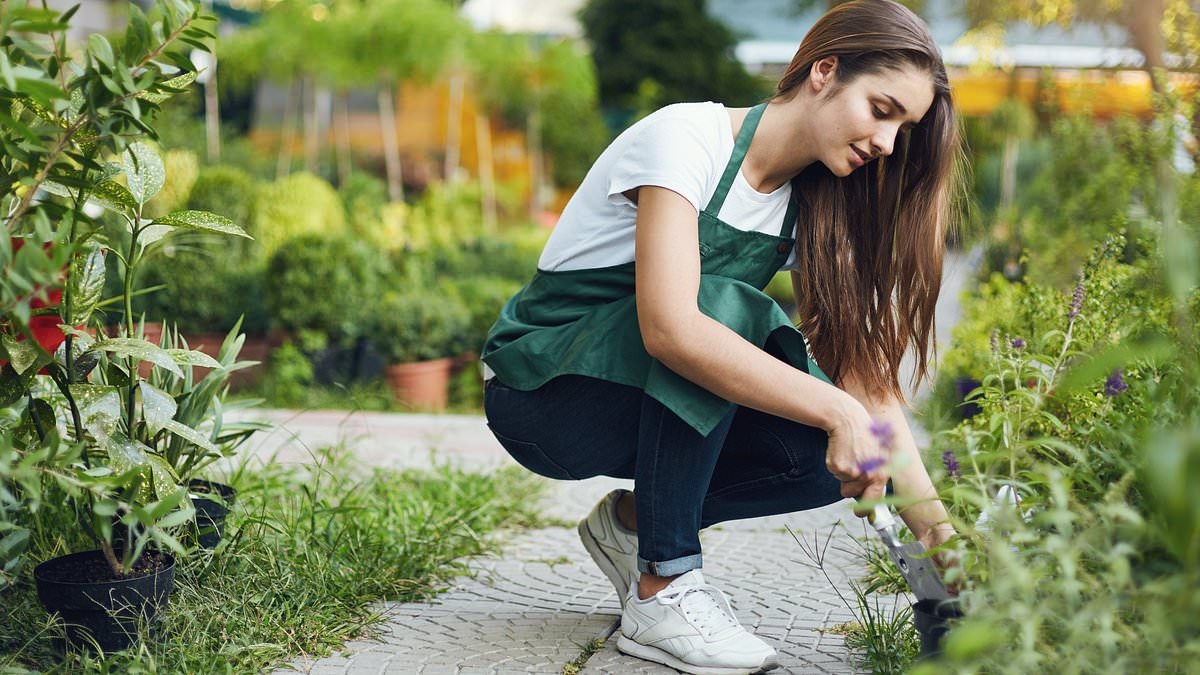 Expert warns gardeners to prune these plants in August - or risk limiting their growth next year