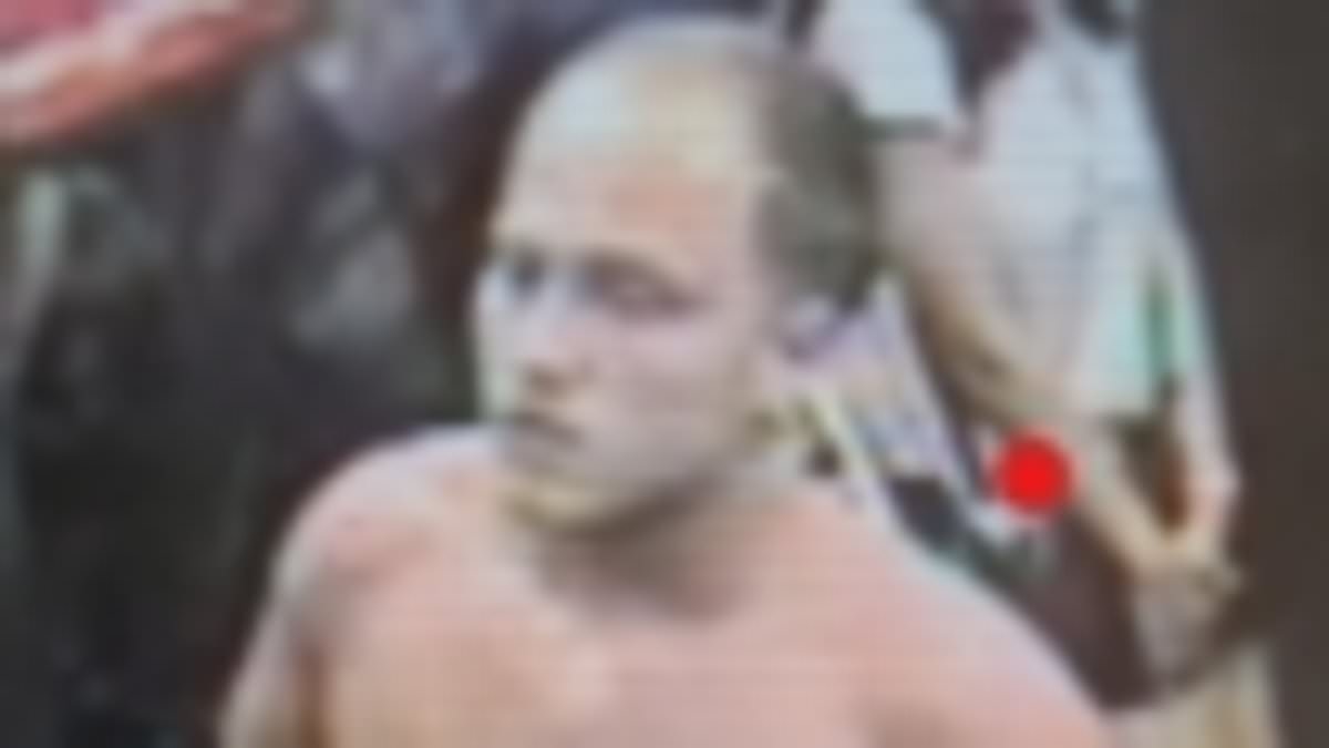 The robbers, sex attackers and handbag thieves running riot on lawless London's trains as Tube crime surges