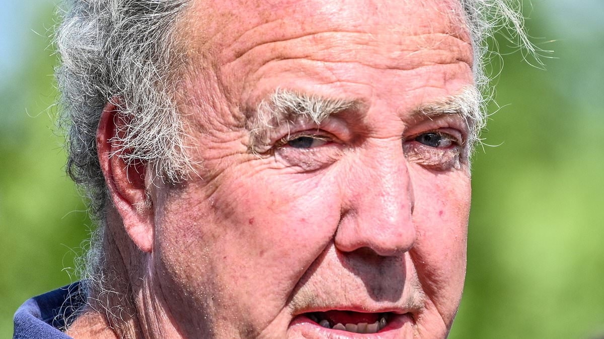 How did stars do in their A-Levels? As students celebrate and commiserate, a look at a qualification-free billionaire, the straight-A Harry Potter star and Jeremy Clarkson's annual boast
