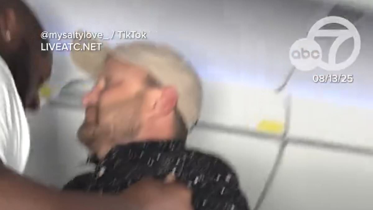 Moment skateboarder, 46, is picked up like a TODDLER and plonked in his seat during mid-air racist meltdown