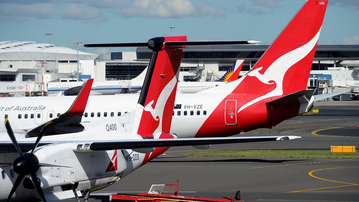 Major blow for Albanese government officials as taxpayer-funded business class flights banned