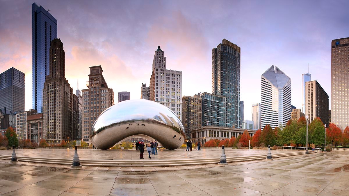 Nobody is trapped inside Chicago's Bean sculpture, officials insist after protesters claim someone has been stuck in there for 21 years