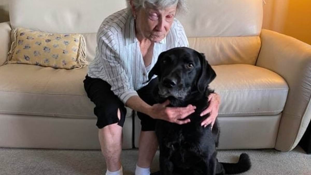 Blind woman can now see through her TOOTH thanks to rare surgery