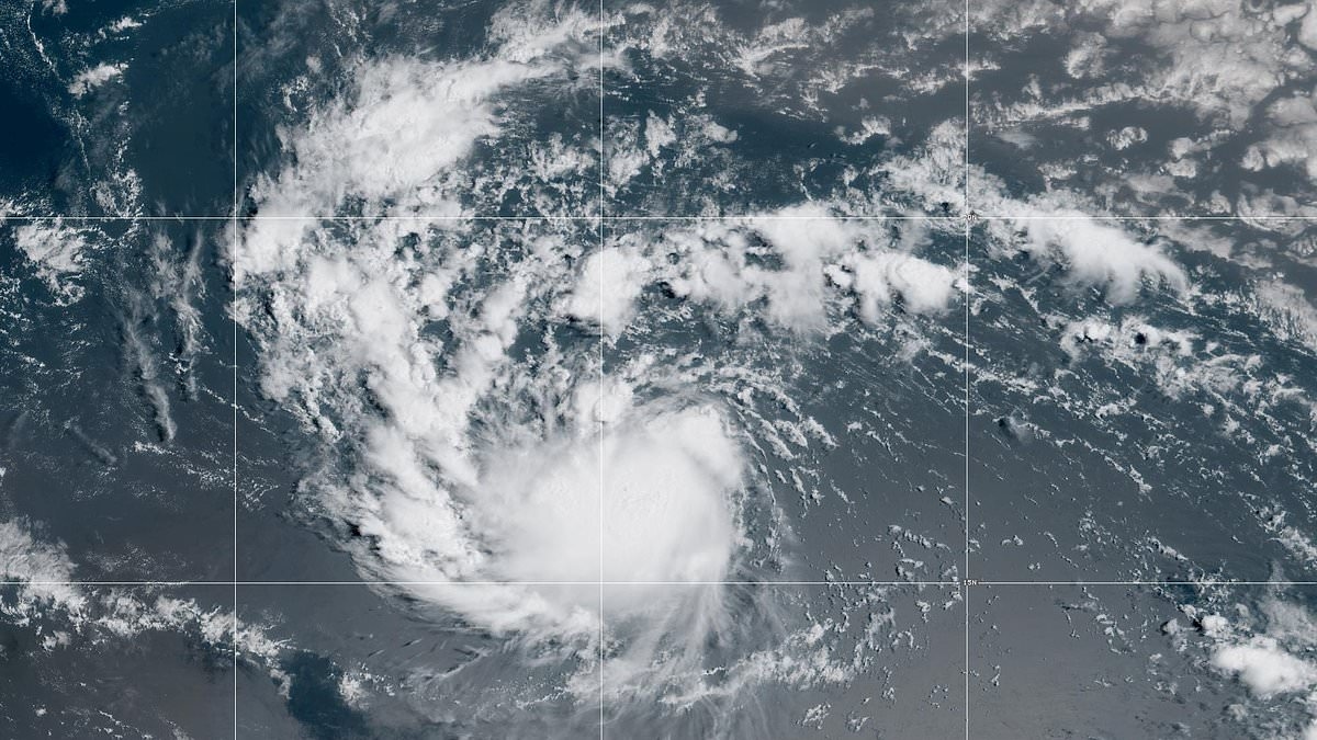 Hurricane warning issued as models show storm Erin taking ominous turn in the Atlantic