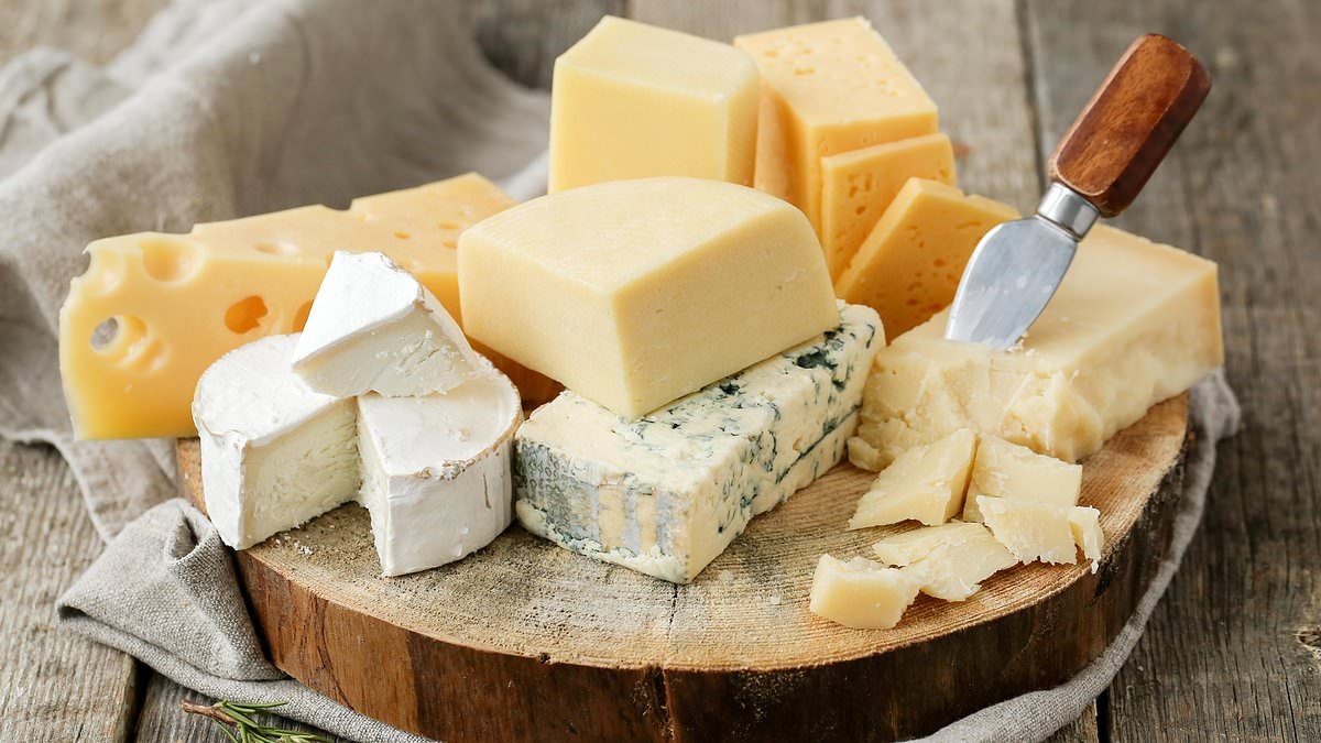 FDA issues recall of cheese products sold nationwide over fears of contamination from bacteria and RODENTS