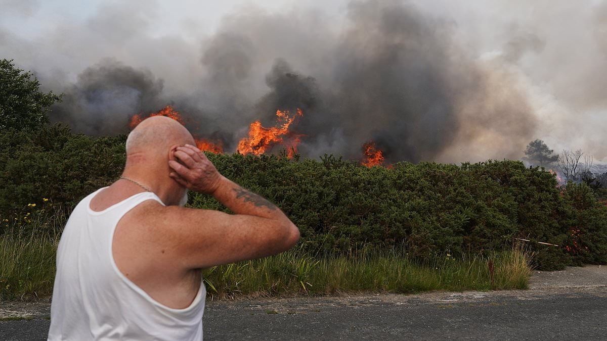 Britain's heatwave is set to continue until next week: Yellow heat alert is extended to Monday as 30C temperatures set to stifle Britain over the weekend