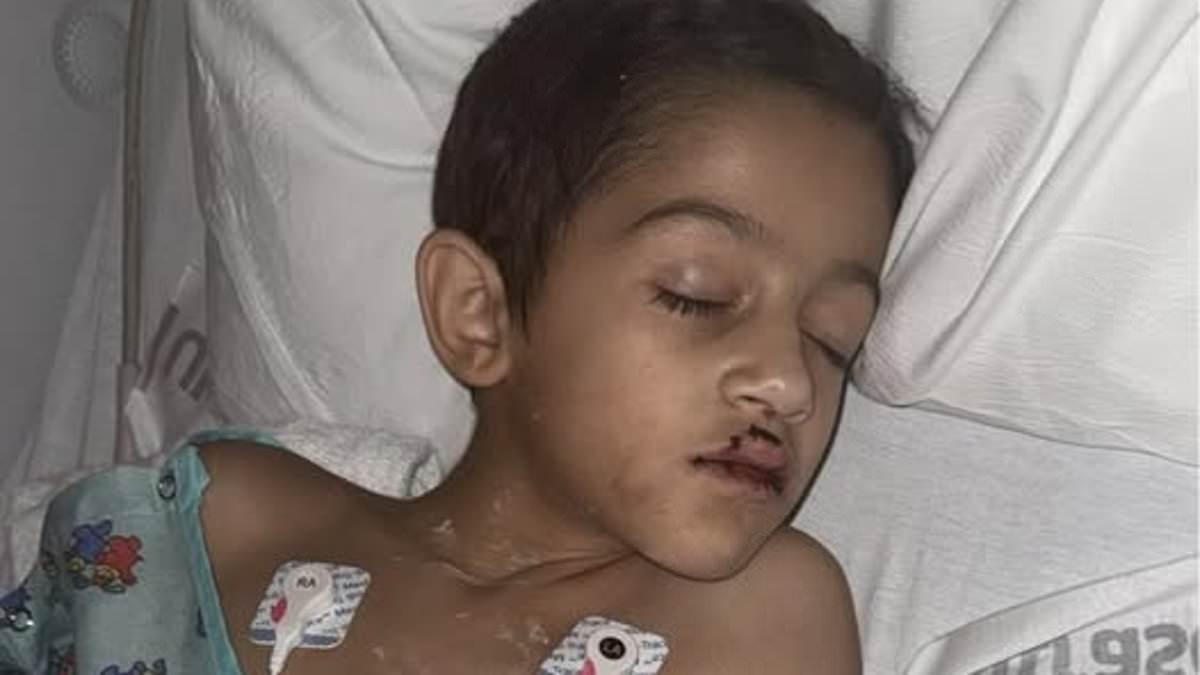 Adorable boy, 7, left traumatized after city's holiday drone display fell from sky and hit him, lawsuit claims