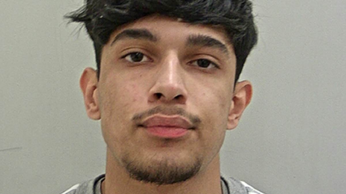 Pregnant care home worker lost her unborn baby boy when she was 'thrown into the air' in hit-and-run - after driver and his passenger filmed themselves laughing and singing